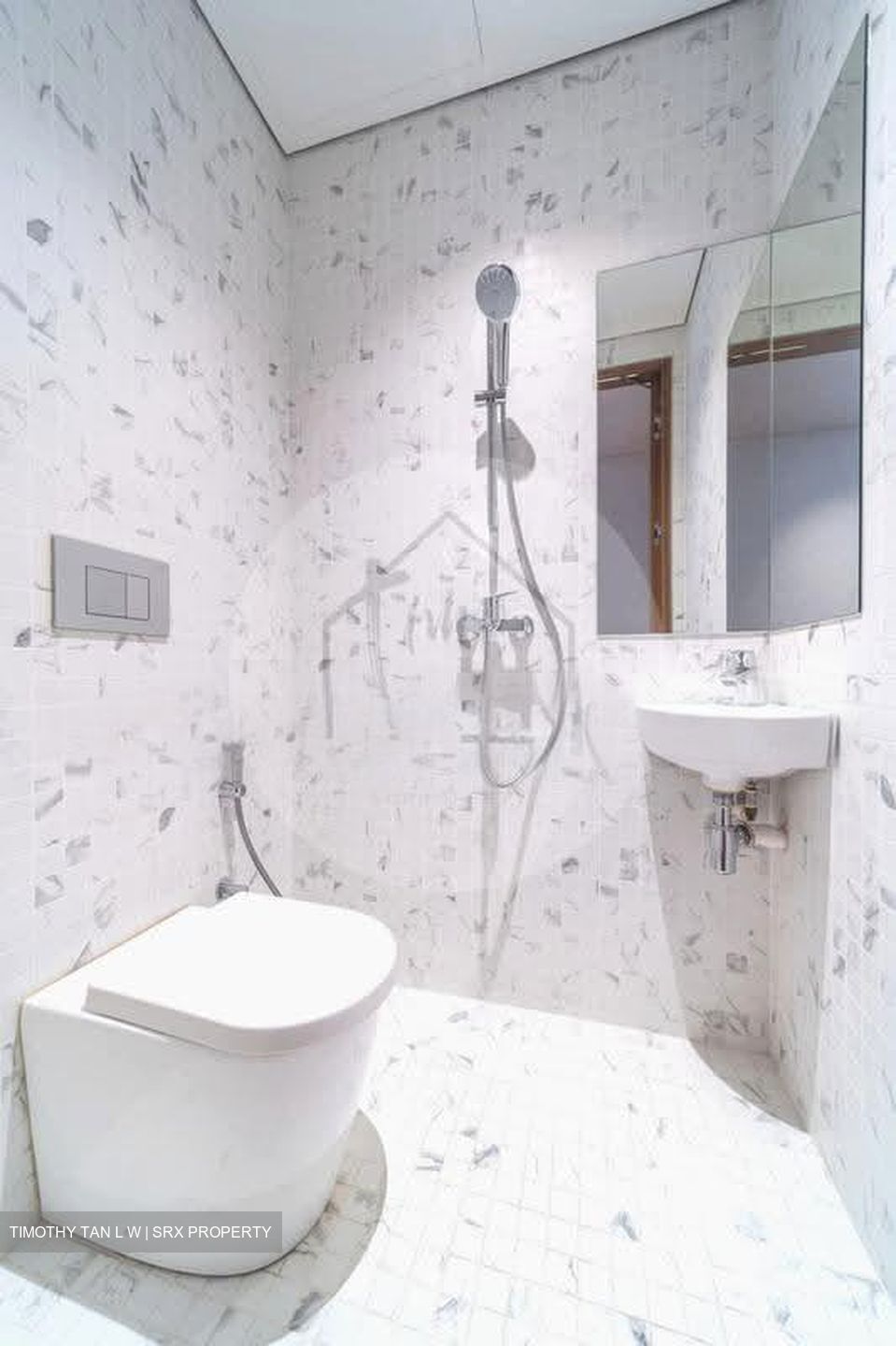 3 Orchard By-The-Park (D10), Condominium #632086081